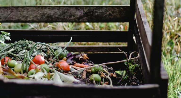 Wooden compost bin in an Estonian garden with organic waste and vegetables.