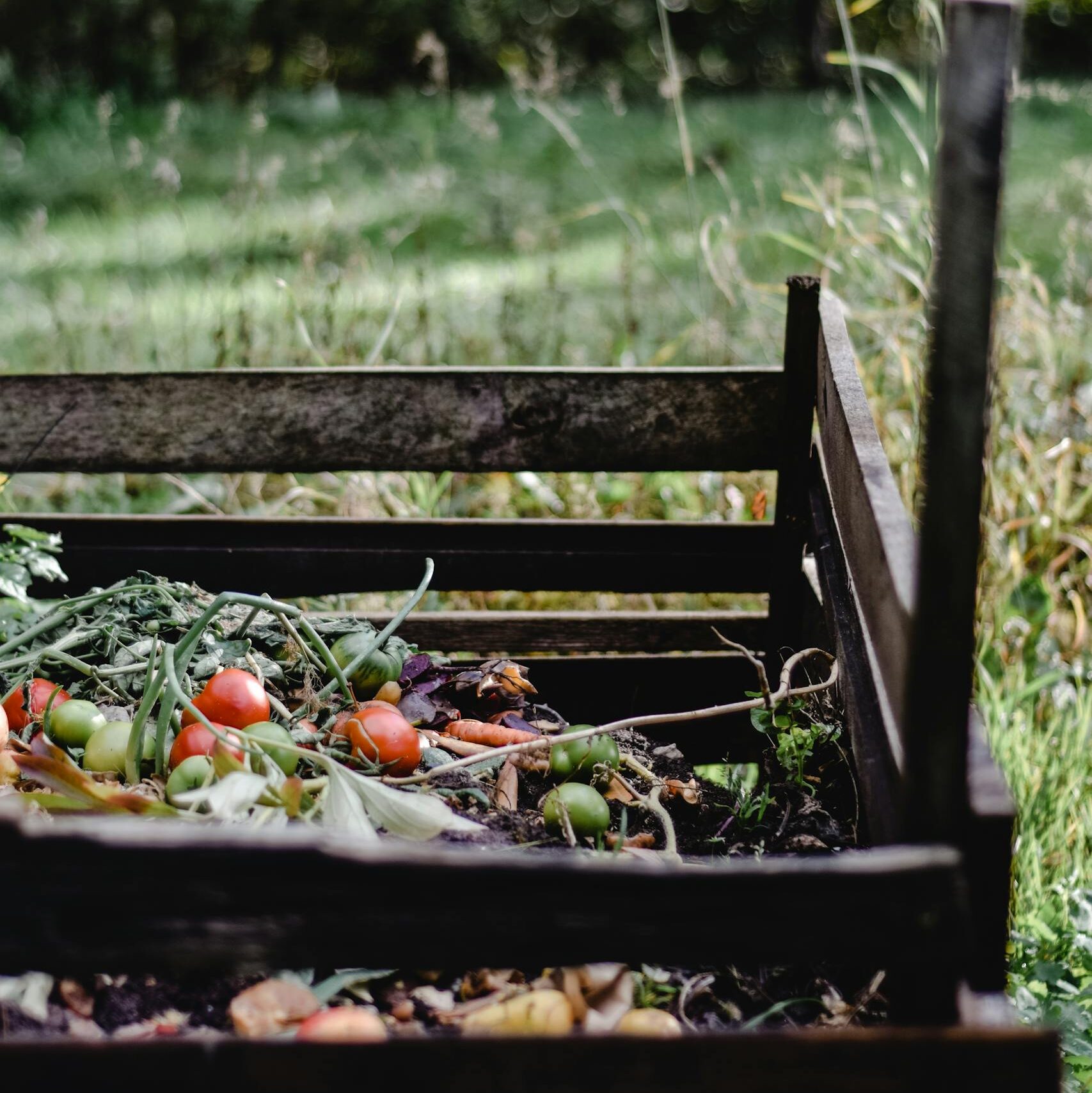 Wooden compost bin in an Estonian garden with organic waste and vegetables.