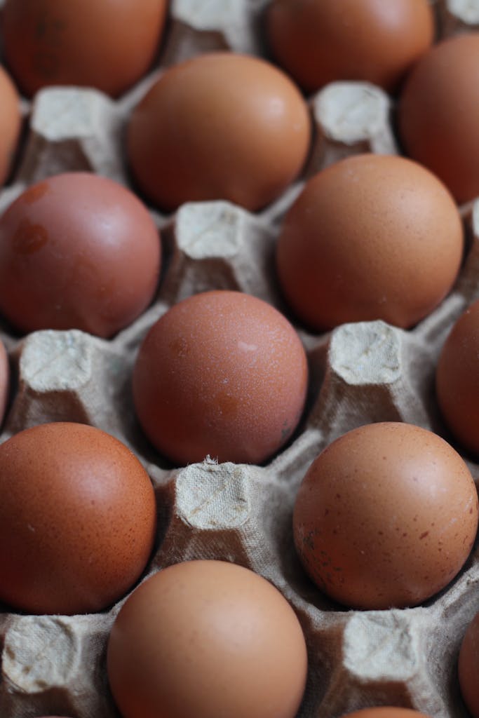 A close-up image showcasing brown eggs neatly arranged in a cardboard tray for food photography.