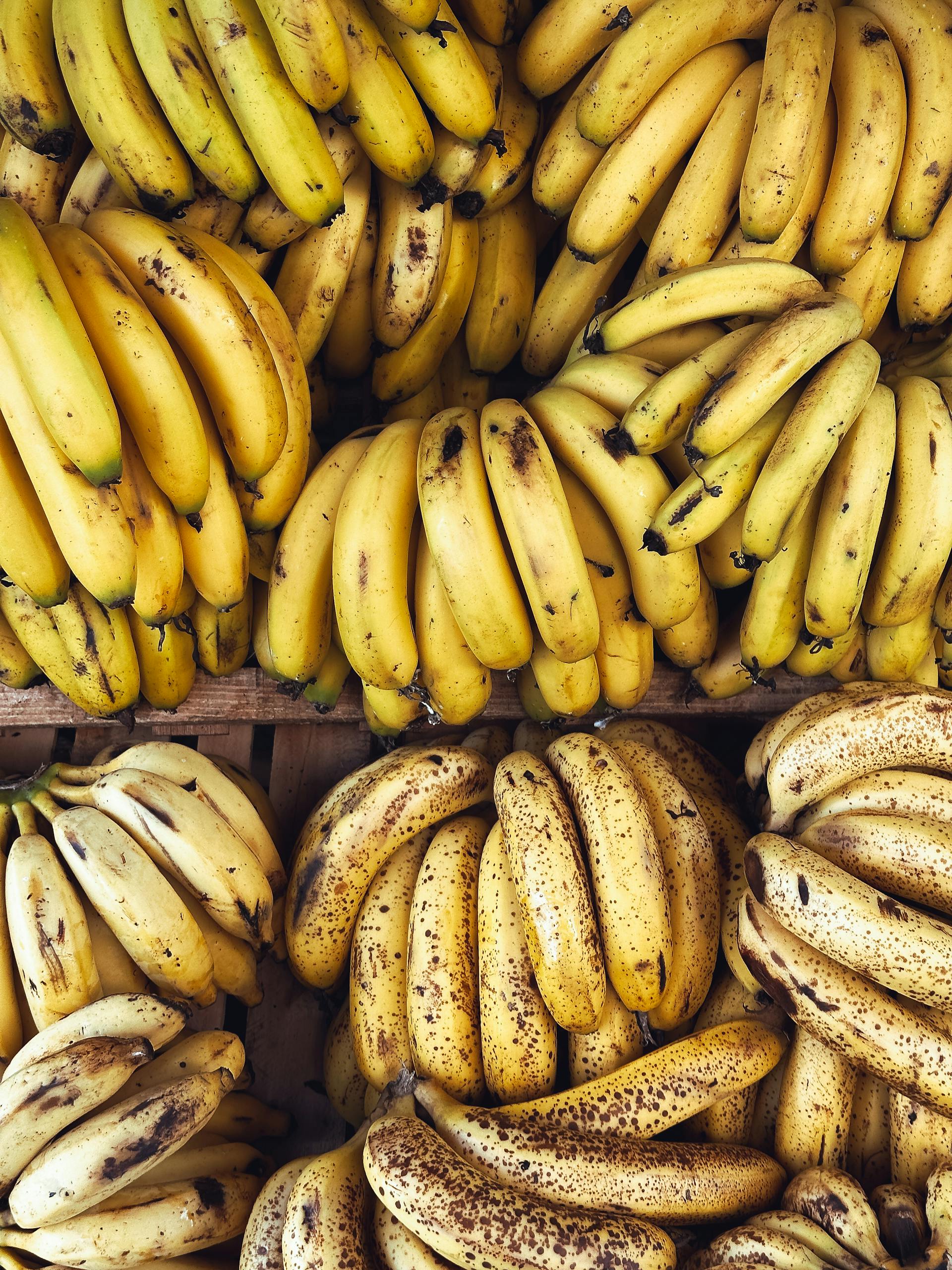 A vibrant display of fresh ripe and spotted bananas in a market setting, showcasing texture and color.